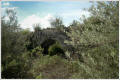 Arche de l'aqueduc dans le bois de Remoulins